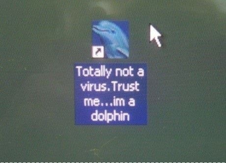 image of desktop icon showing a dolphin; the name of the shortcut says 'totally not a virus.trust me...im a dolphin'